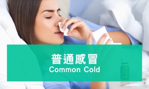 苦莲子图片及药用途网苦莲子的学名知识网站,分享苦莲子图片及药用途大全大全