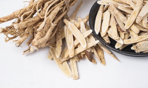 苦连子功效图片-苦莲子图片及药用途网苦莲子的学名知识网站,分享苦莲子图片及药用途大全大全