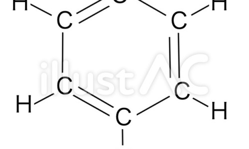 苦莲子图片及药用途大全-苦莲子图片及药用途网苦莲子的学名知识网站,分享苦莲子图片及药用途大全大全